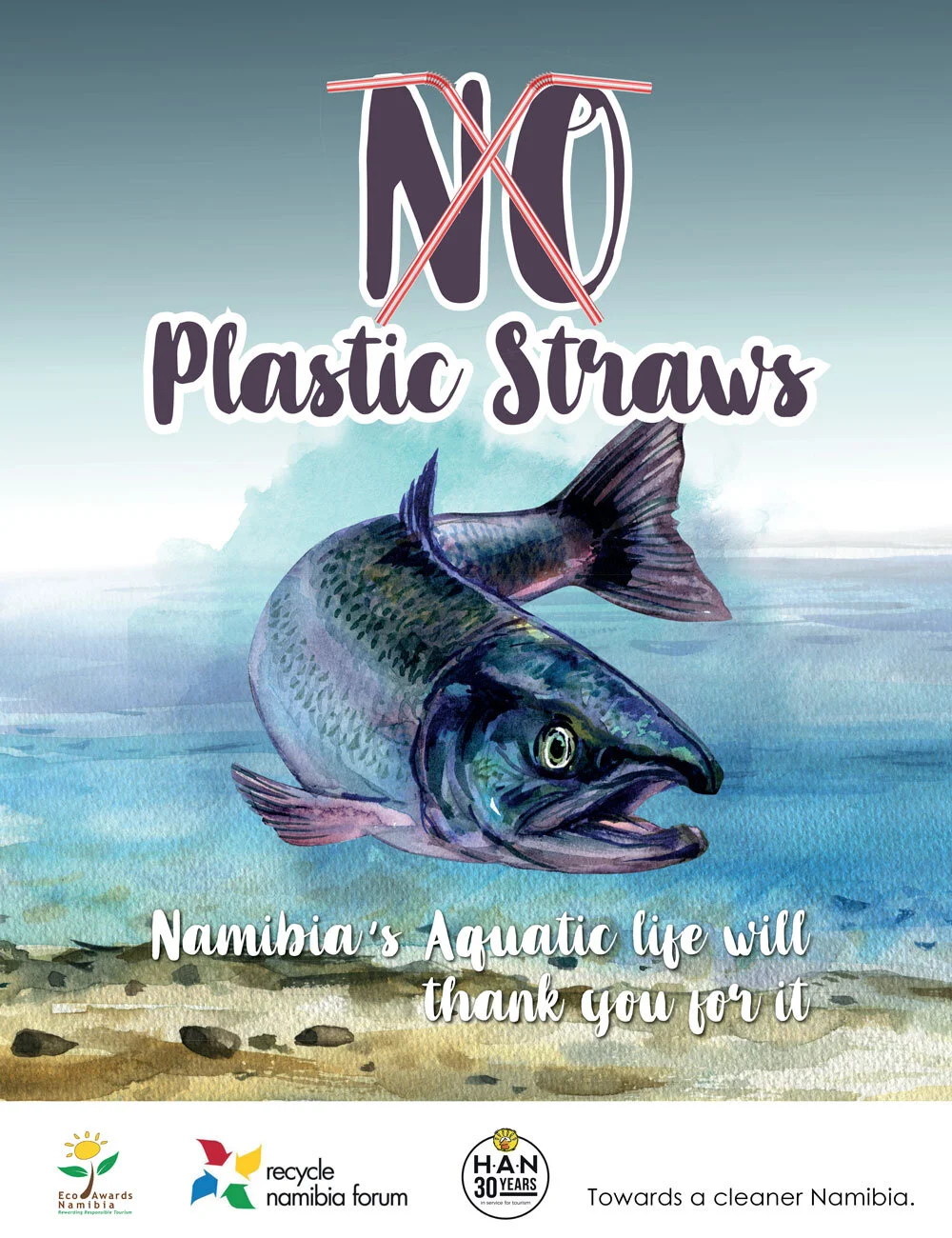 Straw Awareness Namibia's Aquatic Life Post.jpg