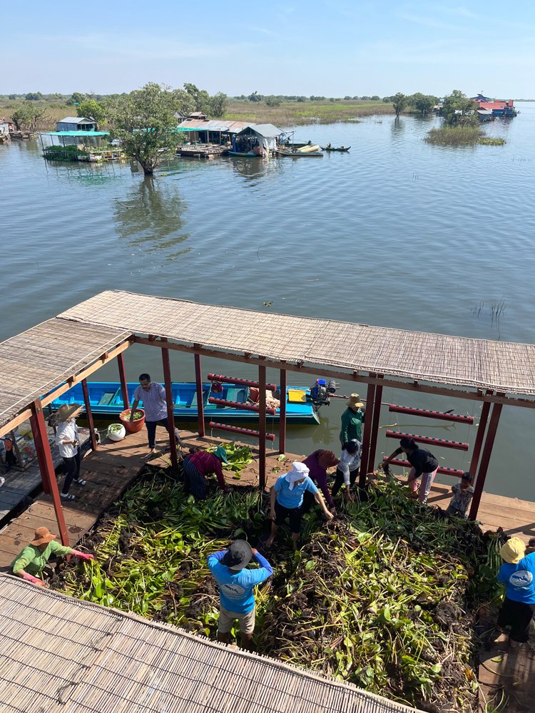 Floating garden — i.d.o