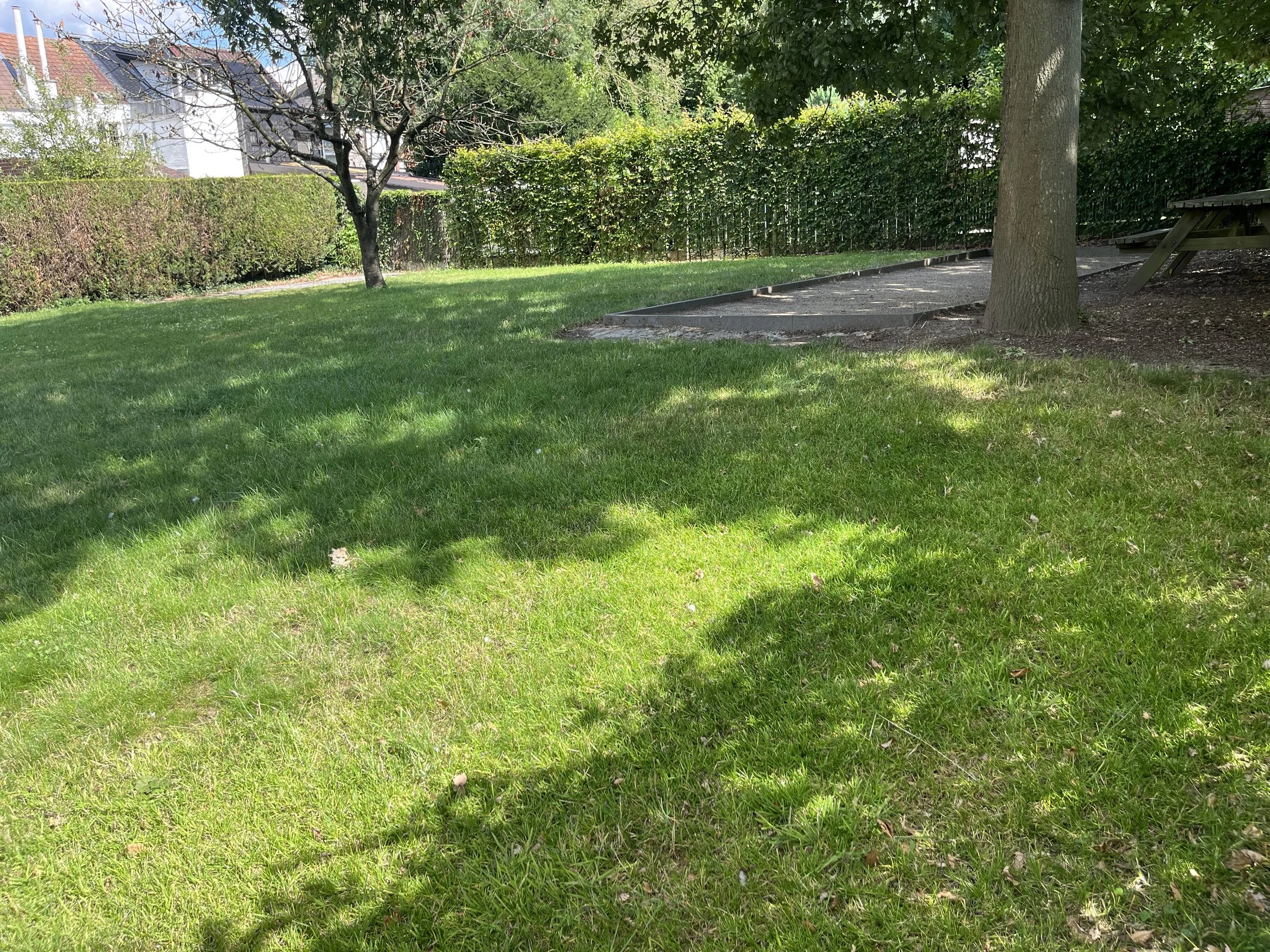 IMG_7048.jpeg
