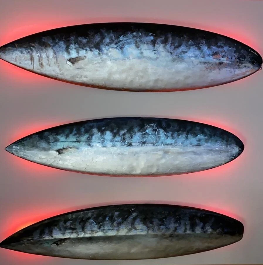 3a561ffe-4a1b-43e8-8af3-2177cdc3162a copy 2.JPG