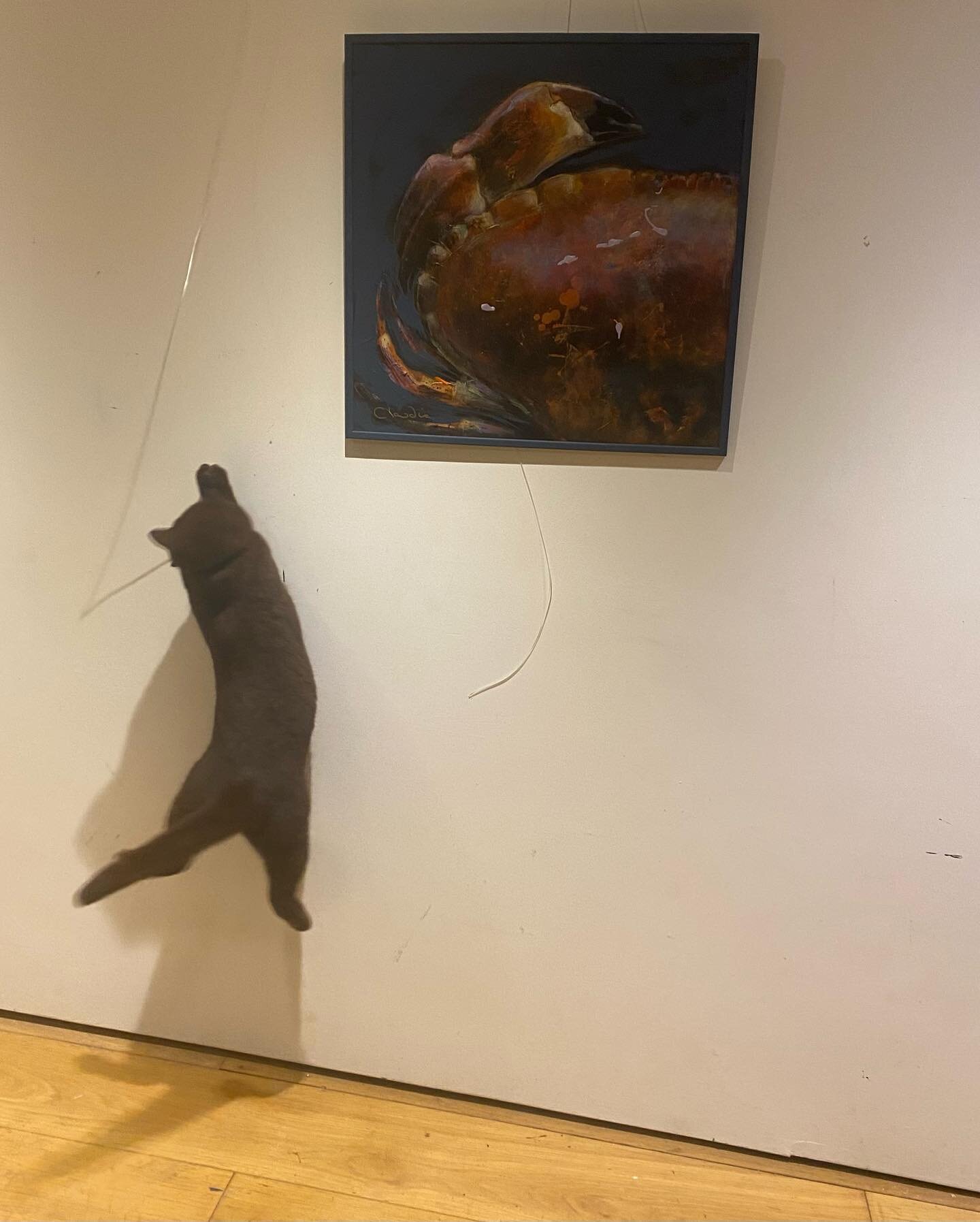 Admiring the artwork Bruno ???? Catching crabs &hellip;😂Gallery cat - One day I might even paint you 🐈&zwj;⬛ #crabsandcats #Cornishart #seafood #catandcrab