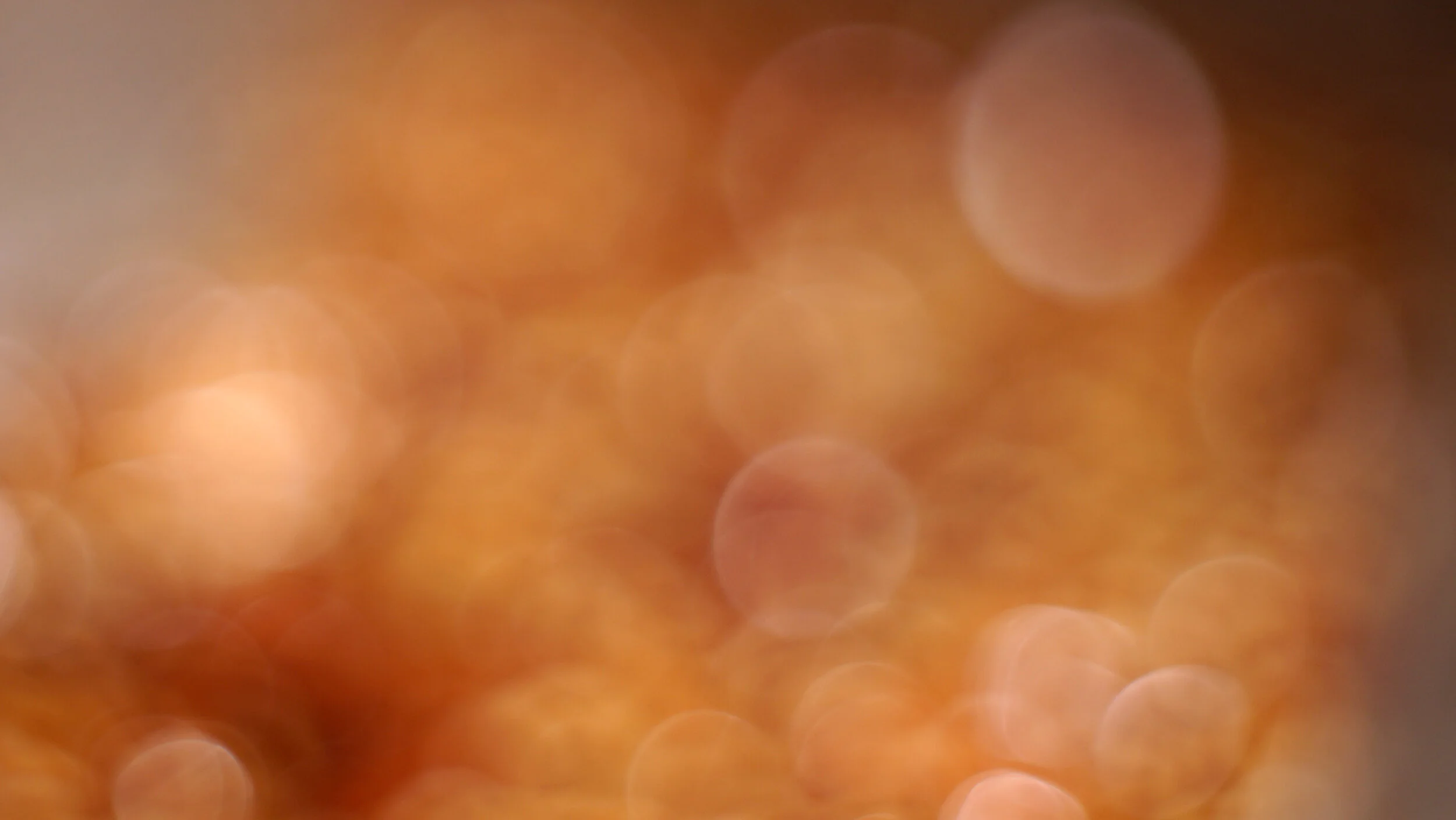 I embolicar d'afecte el més dolç per compartir-ho. Quin regal!