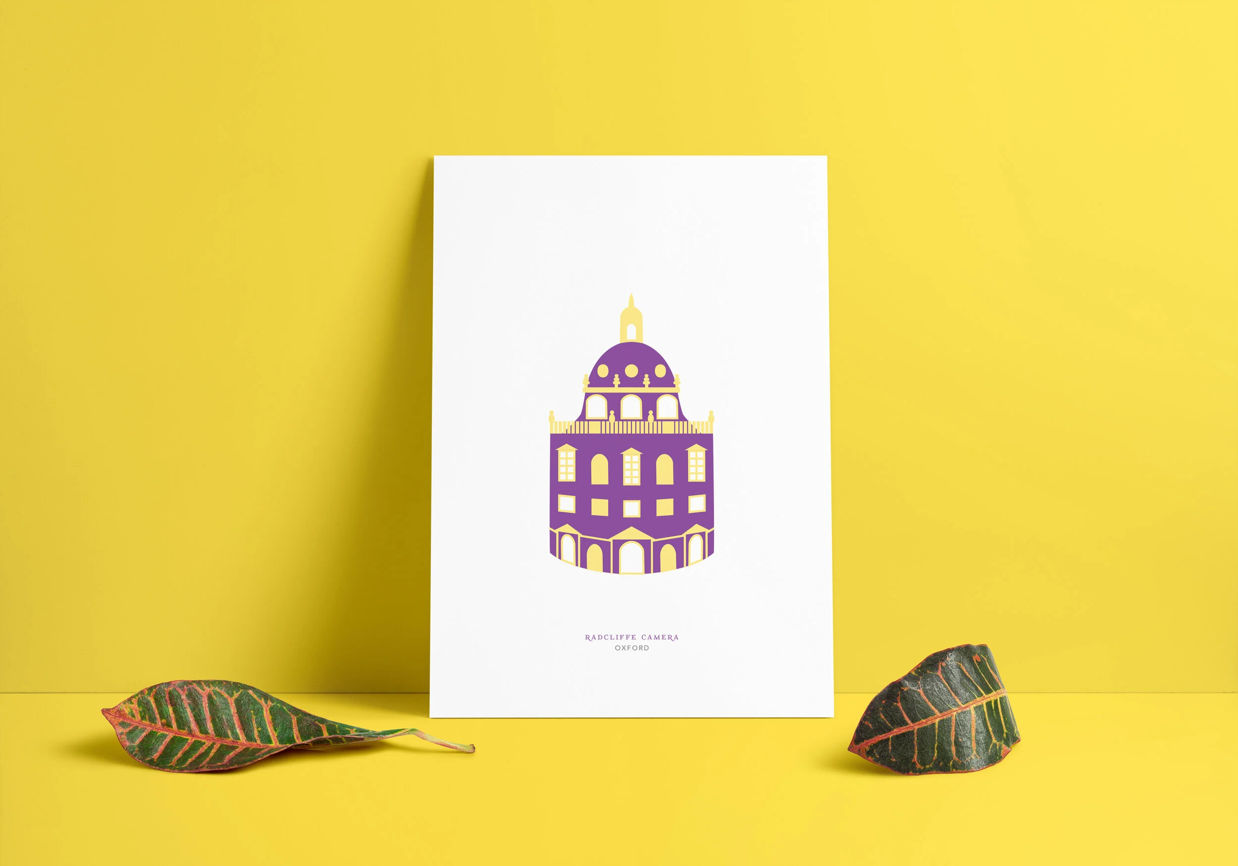 Radcliffe Camera - Oxford (Print and Greetings card)