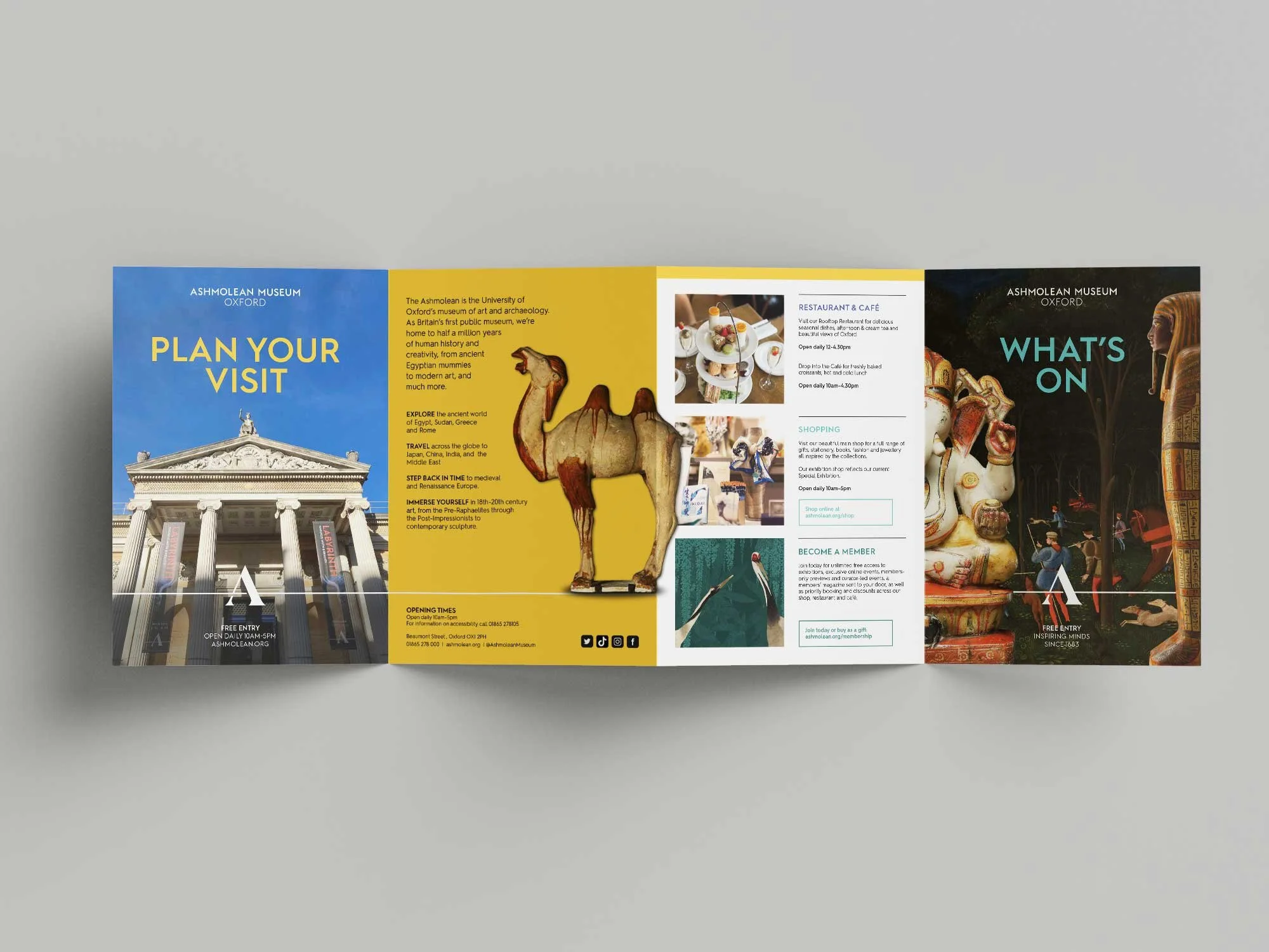 ASHMOLEAN-leaflet-design-oxford.jpg