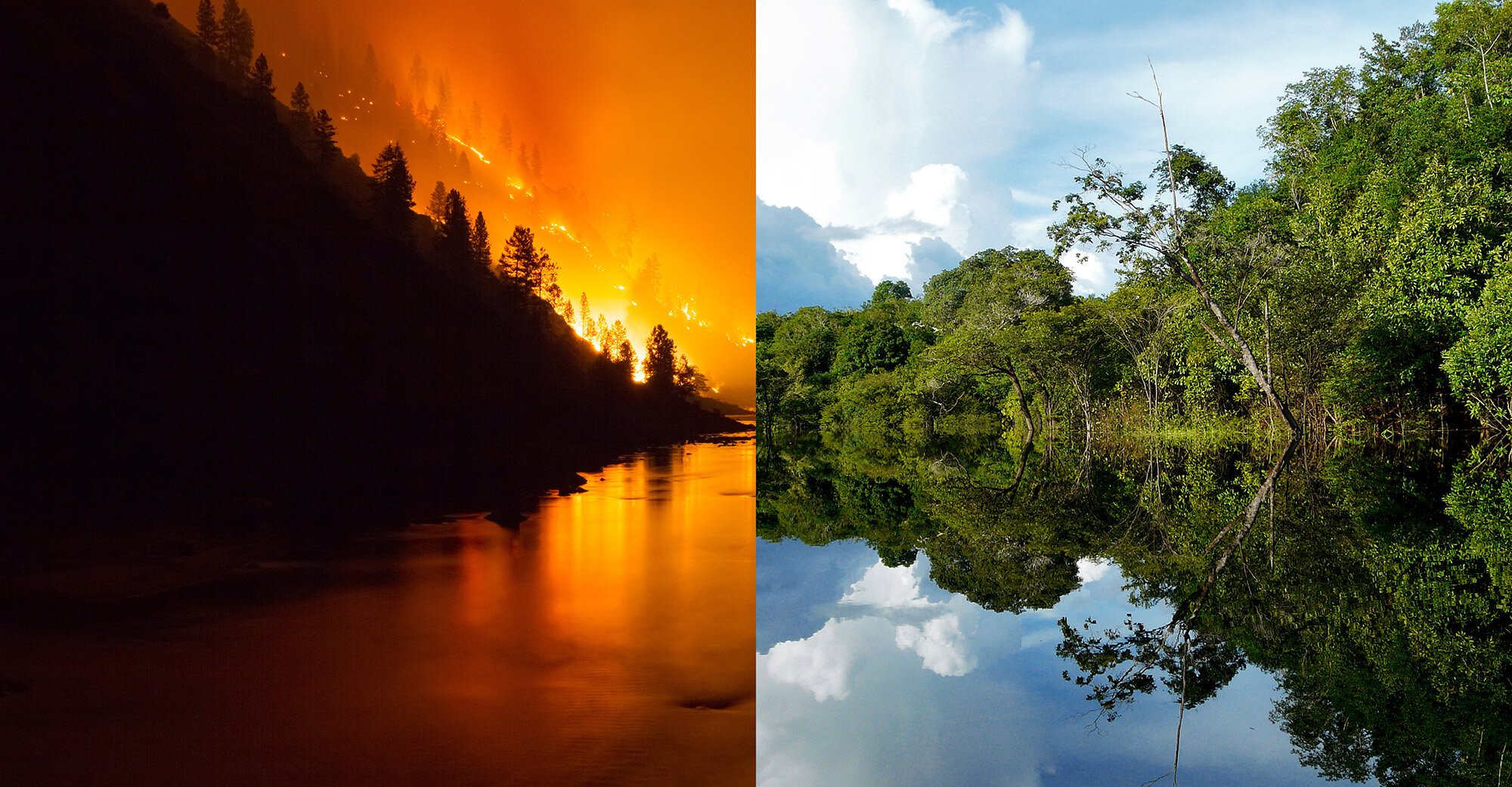   STOP ECOCIDE  Bescherm de Aarde, Verander de Wet 