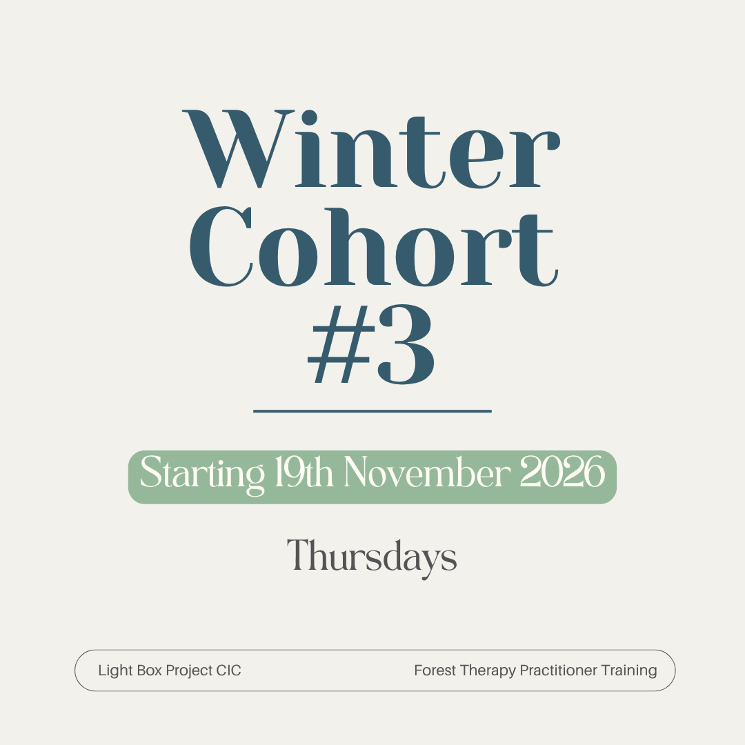 Winter 2026 Cohort #3.png