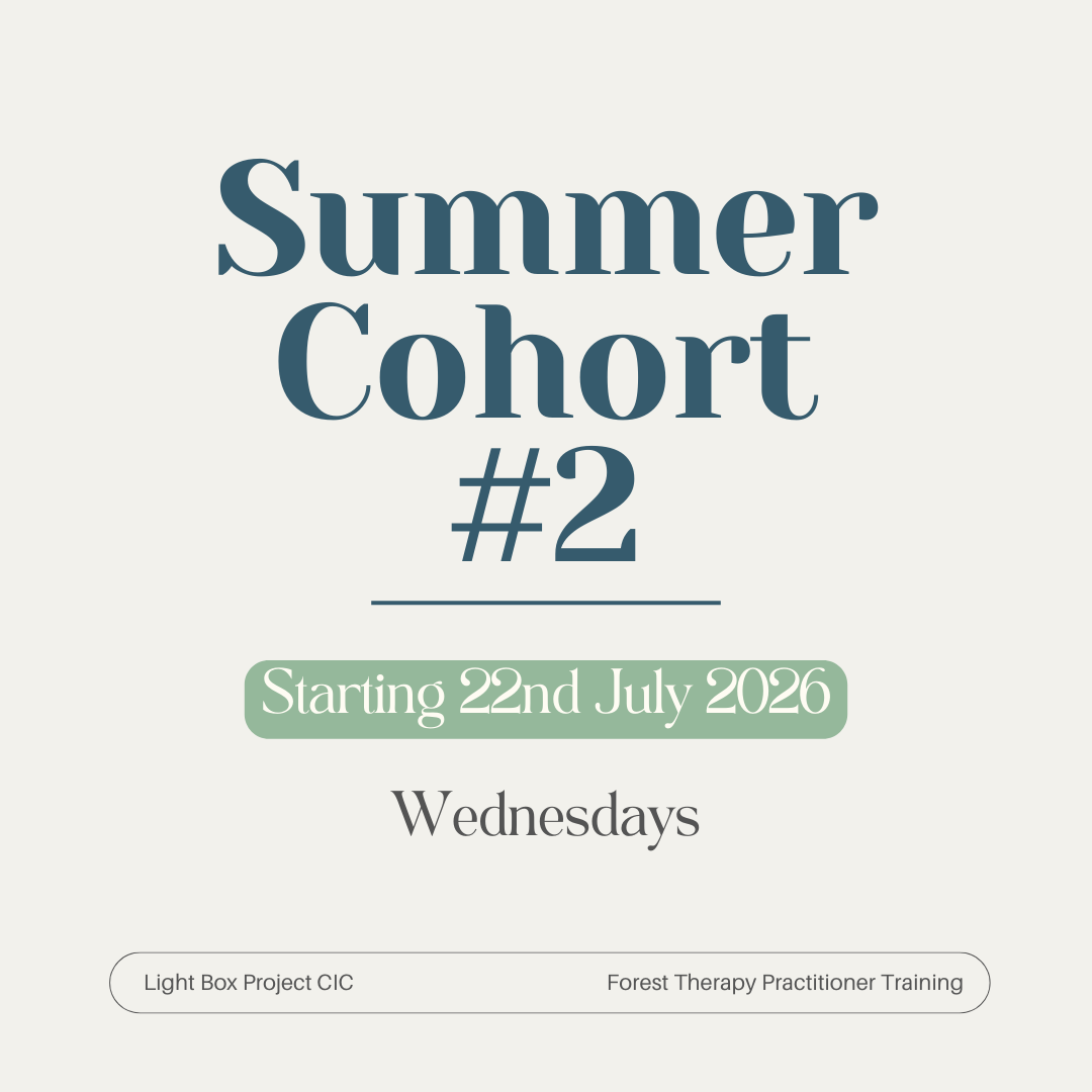 Summer Cohort #2.png