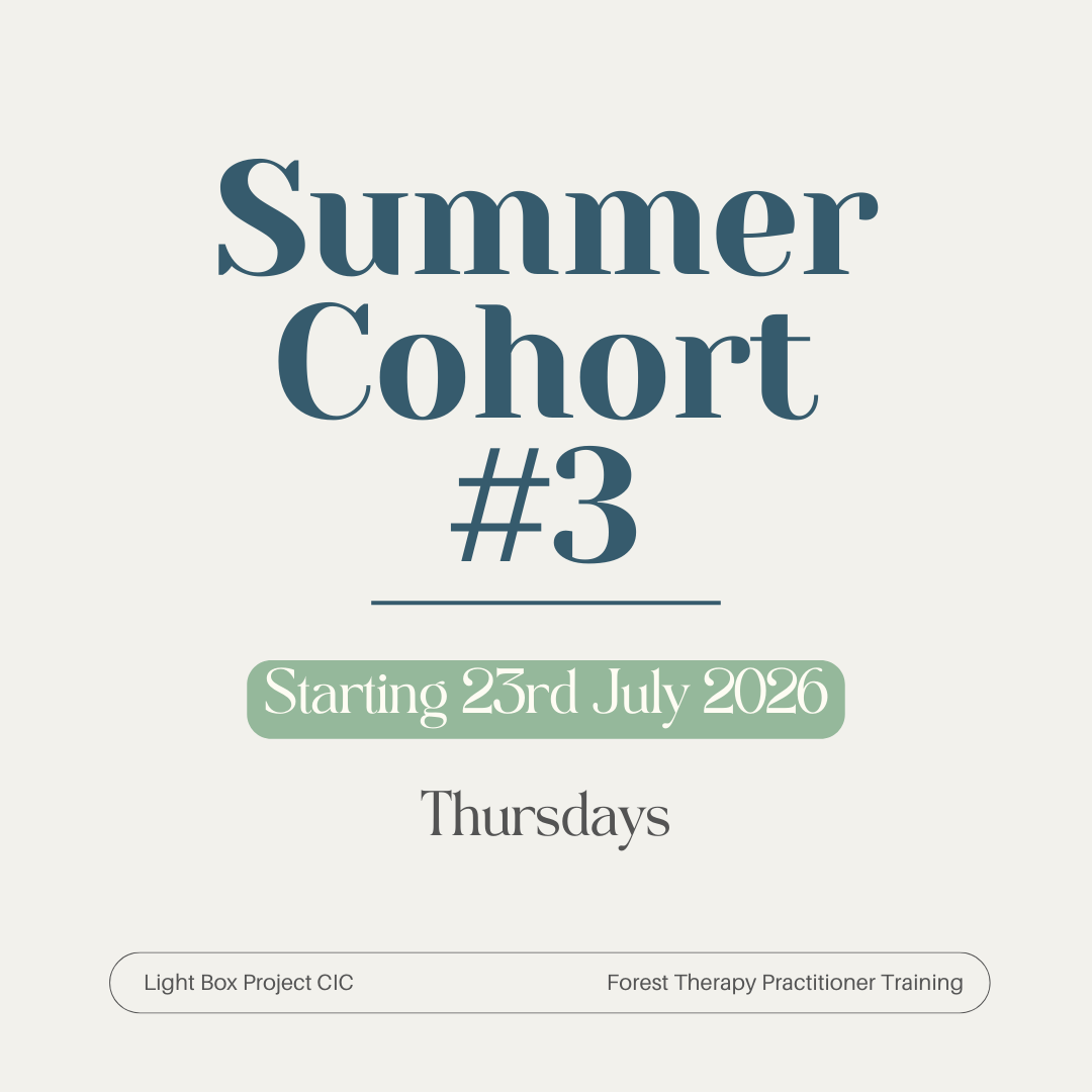 Summer Cohort #3.png