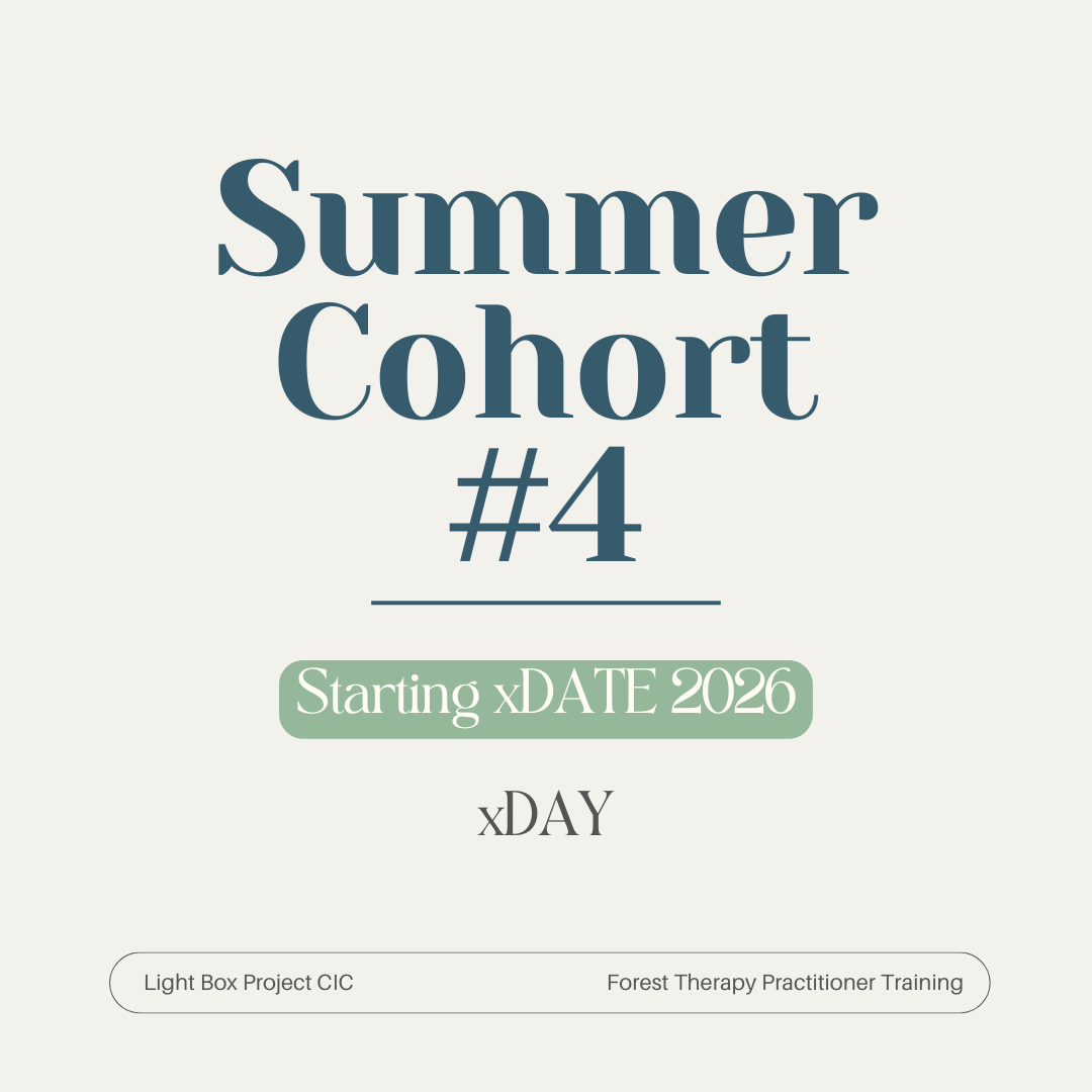 Summer Cohort #4.png