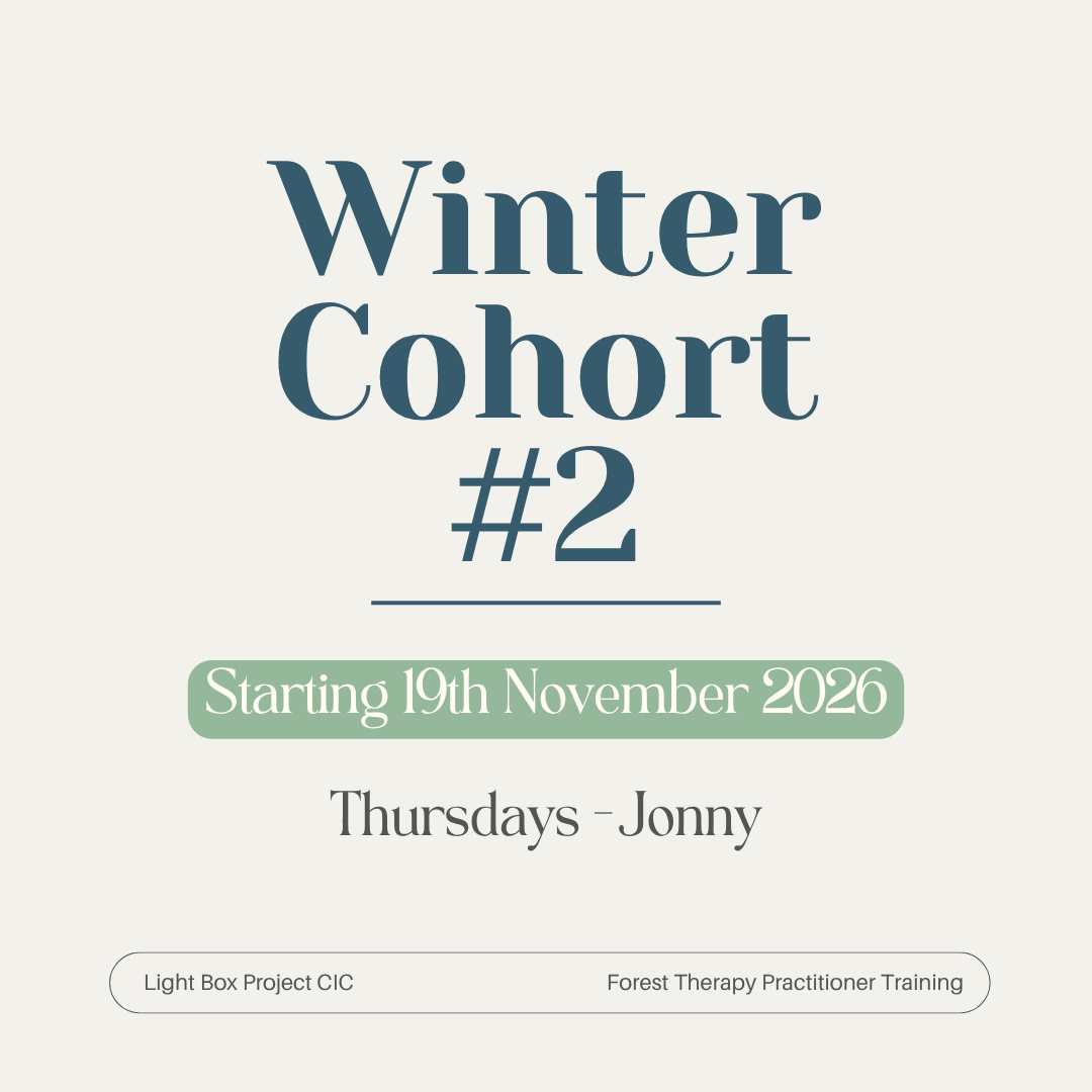 Winter 2026 cohort #2 Deposit for Forest Therapy Practitioner Training