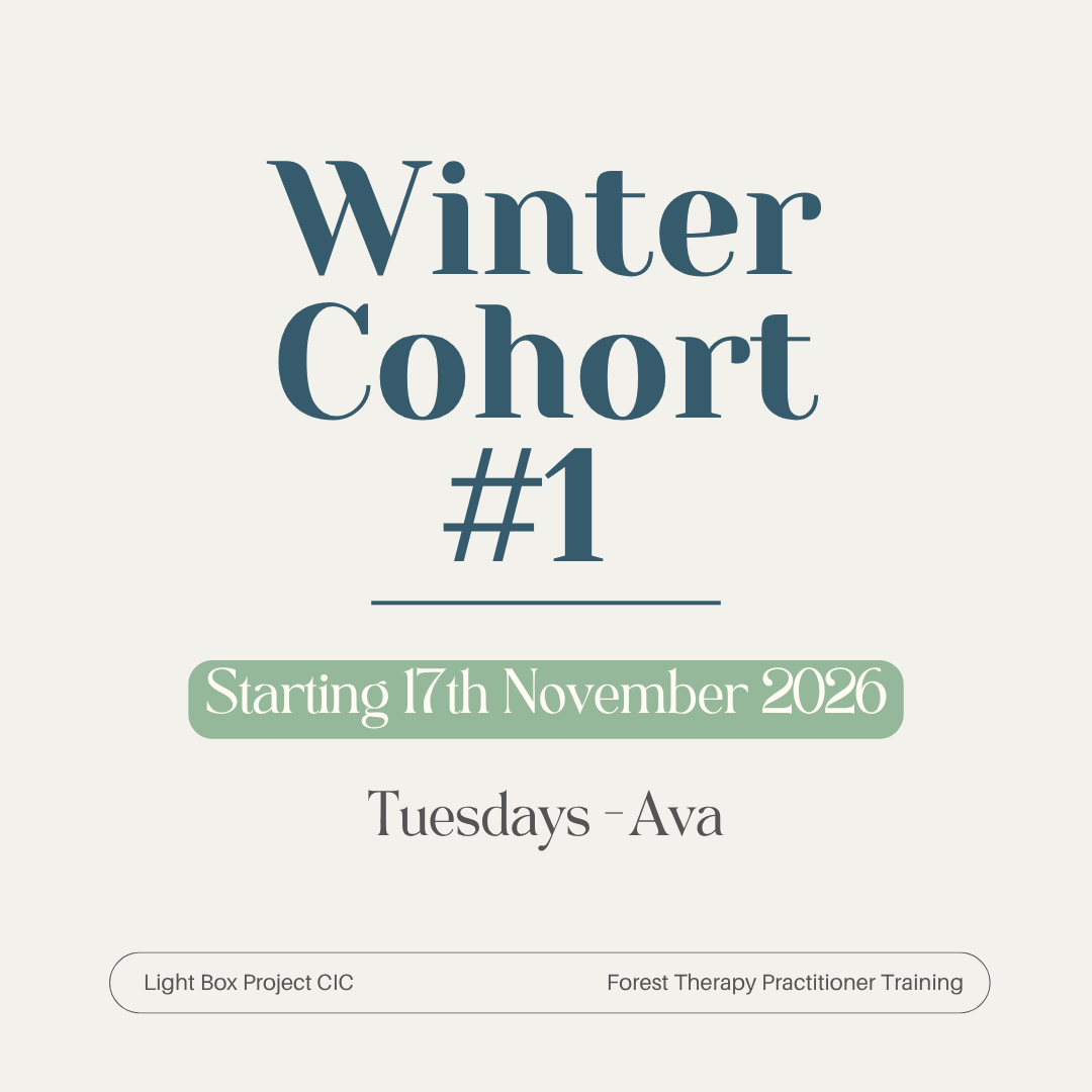 Winter 2026 Cohort #1.png