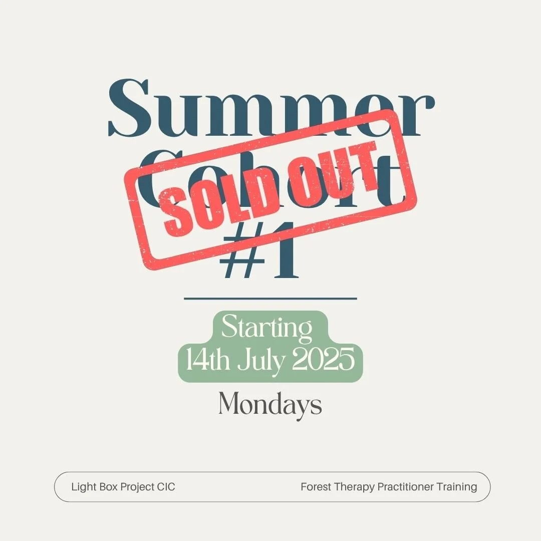 Summer Cohort #1 Mondays.jpg