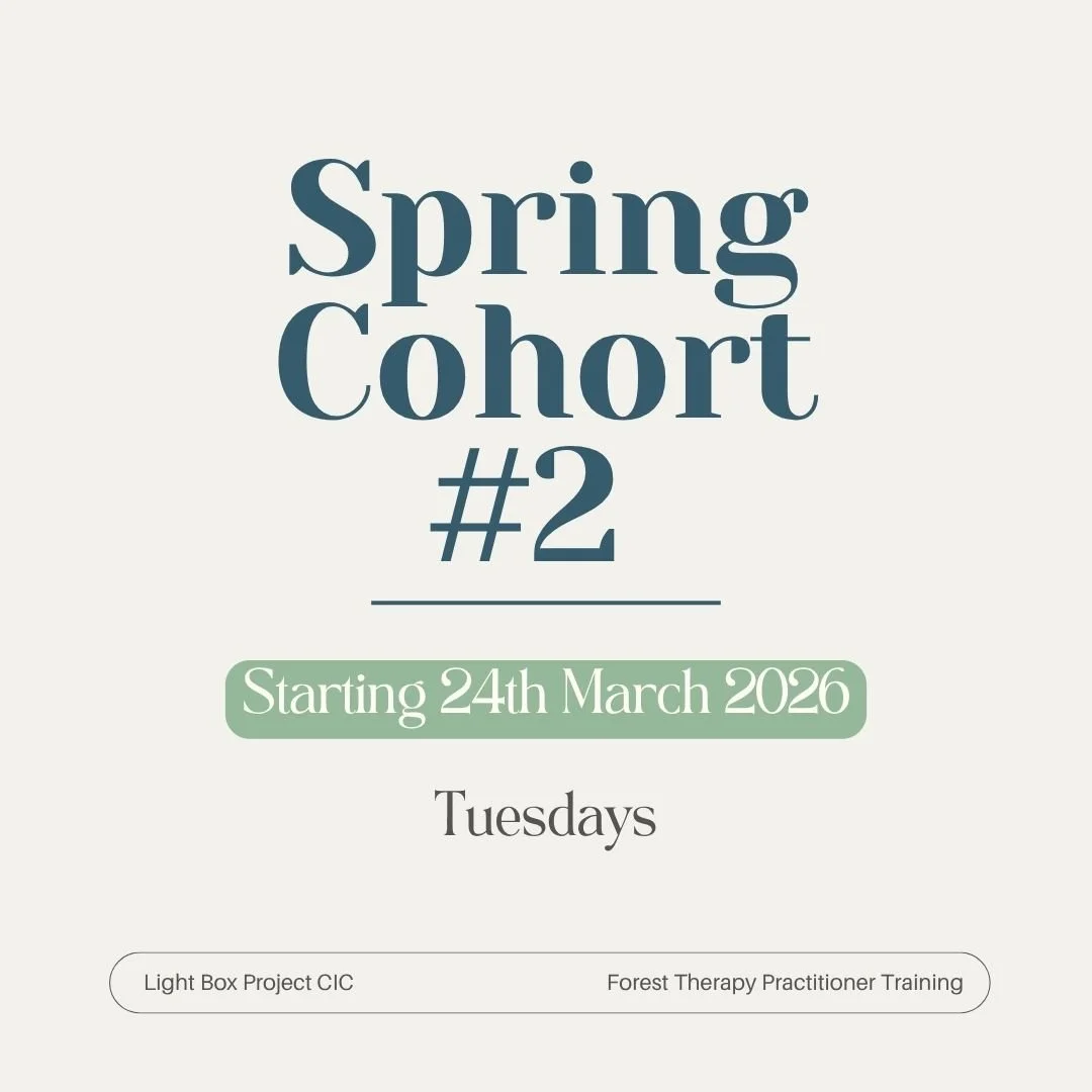 Spring Cohort #2 Tuesdays Jonny.jpg