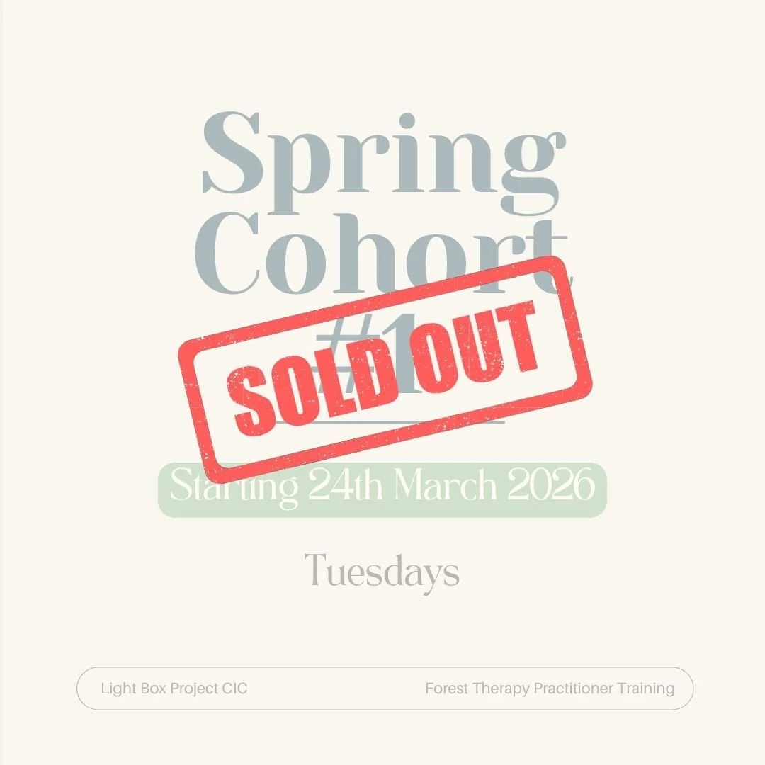 Spring 2026 cohort #1 Deposit for Forest Therapy Practitioner Training