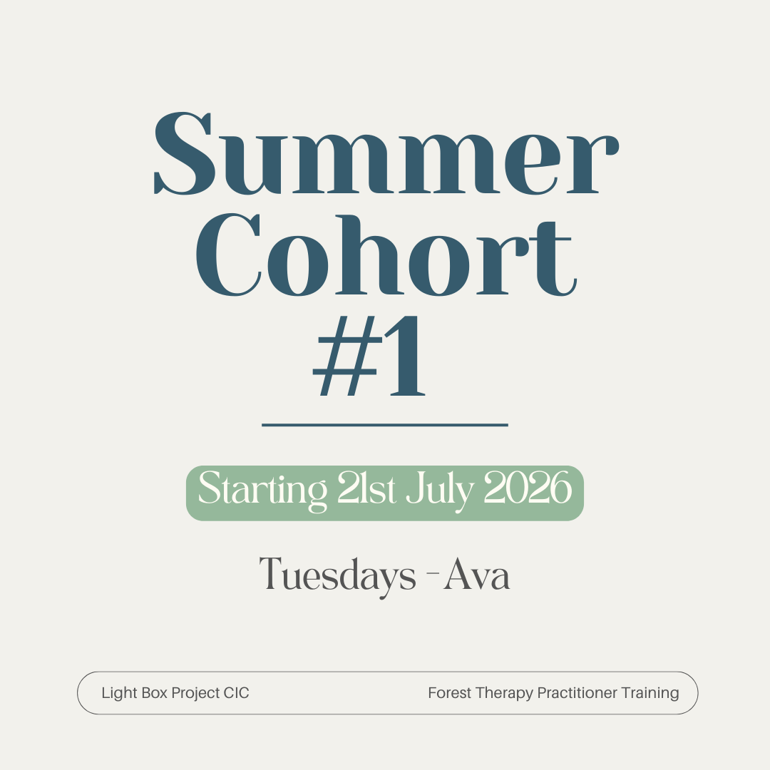 Summer Cohort #1.png