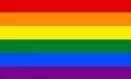 LGBTQIA+ flag.jpg