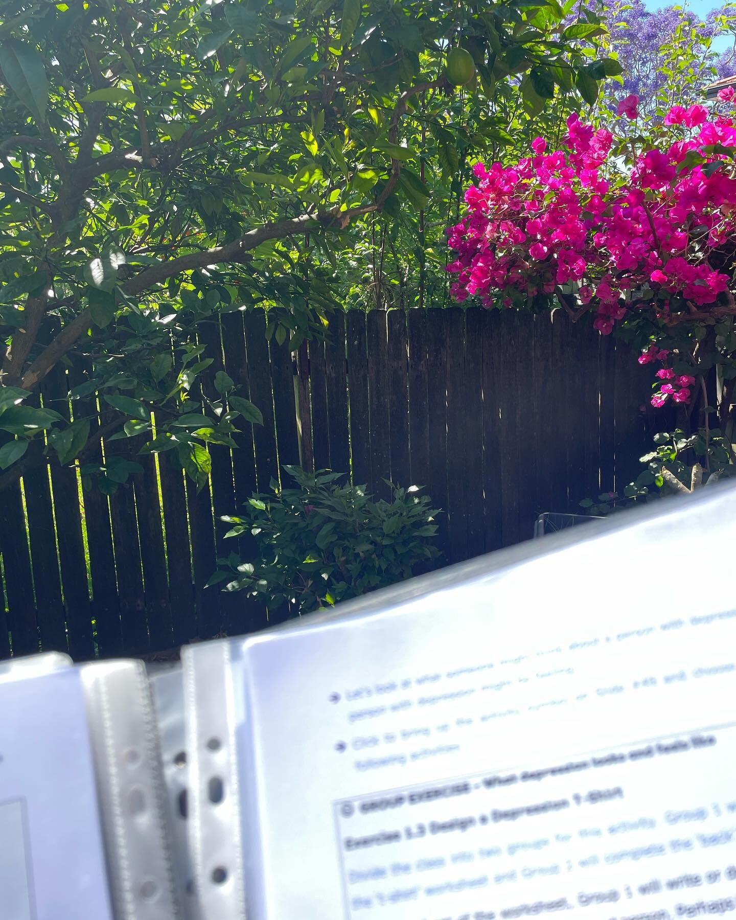 Brushing up on some mental health first aid knowledge for the next course. No better place to do that then in the sunshine surrounded by flowers 🌸 
#mhfa #sydneyaustralia #springtime #mentalhealth