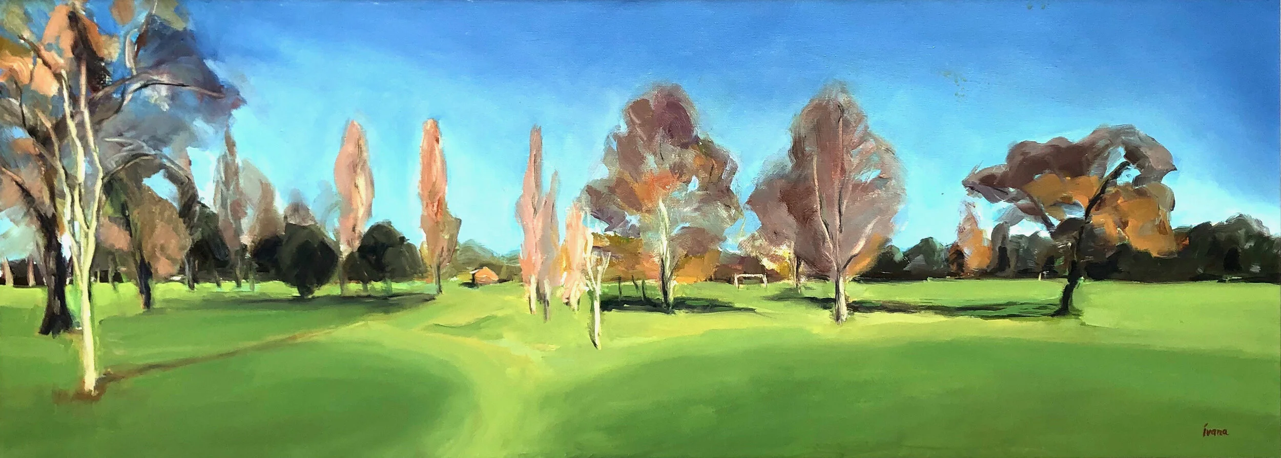 Autumn in Mill Hill Park