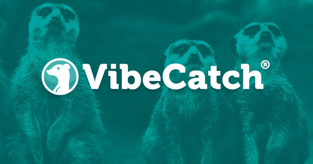 VibeCatch kiihdyttää kasvuaan 600 000 euron rahoituskierroksella