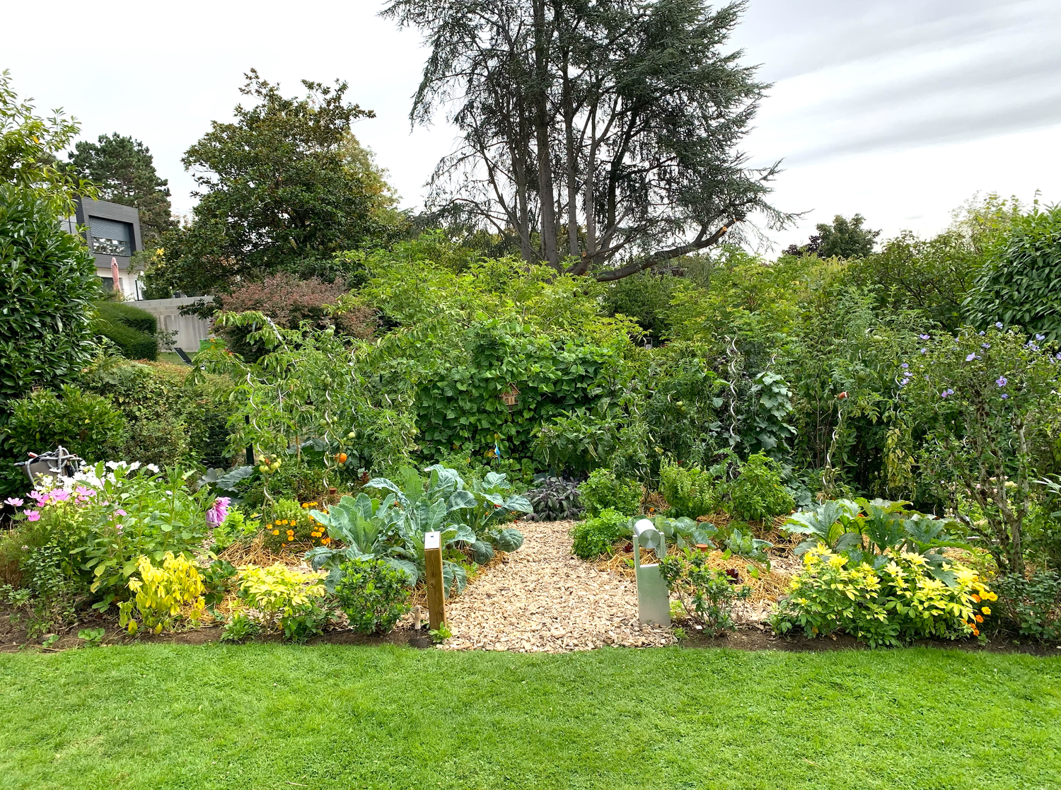 Comment Commencer Un Potager Ecologique 3 Etapes Clef Rubus Services