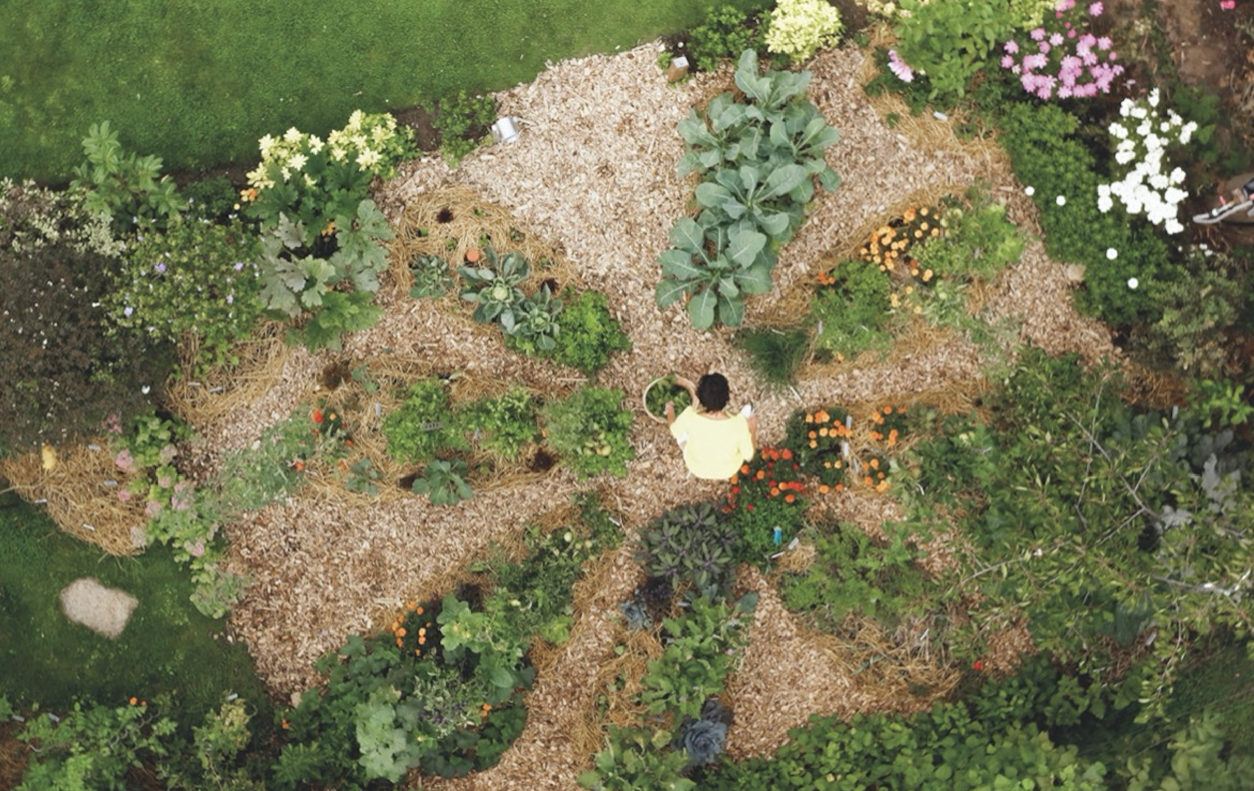 Comment avoir un sol fertile avec la permaculture : les bases