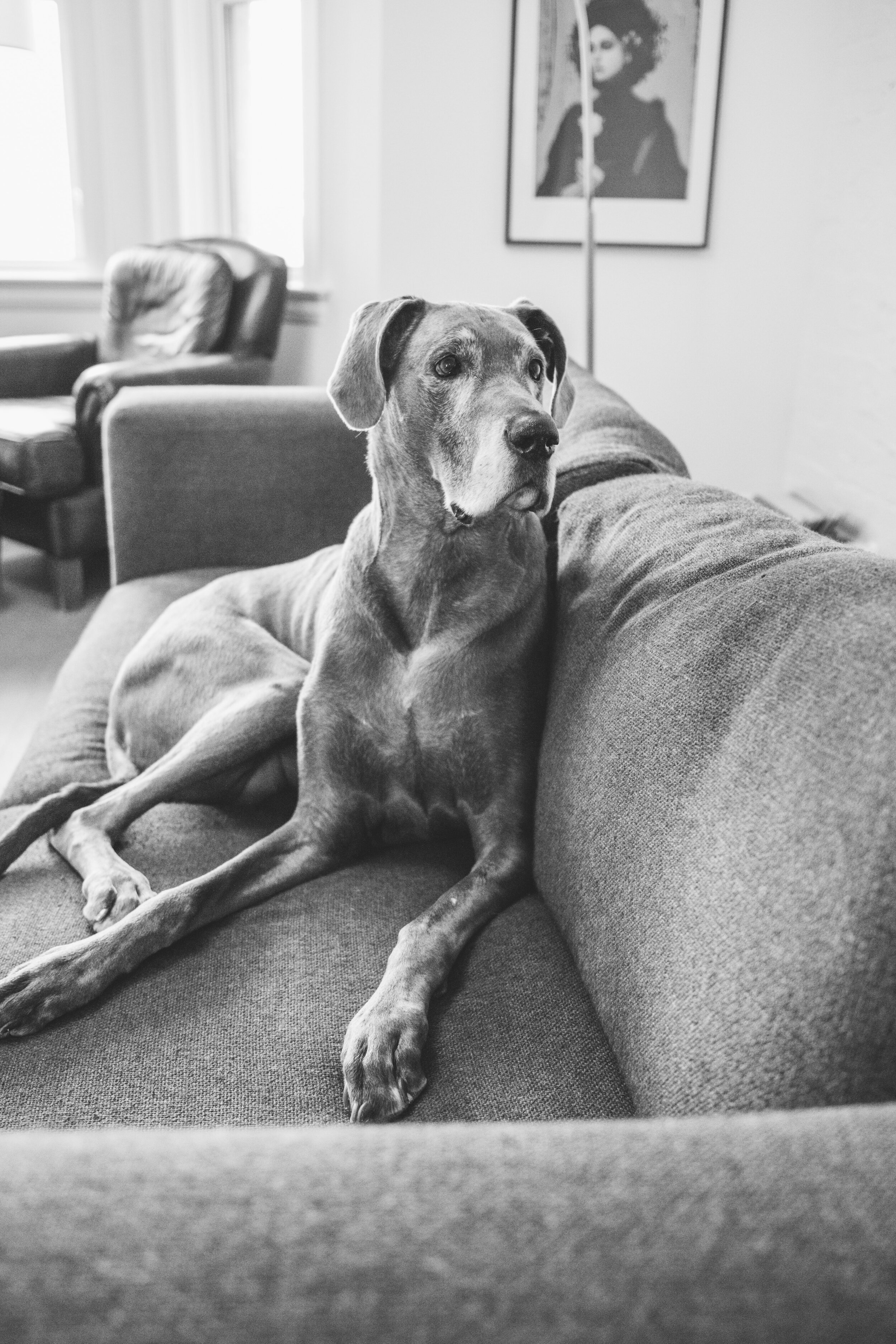 Ruby, Haskell, Dominique, Frederick-28.JPG