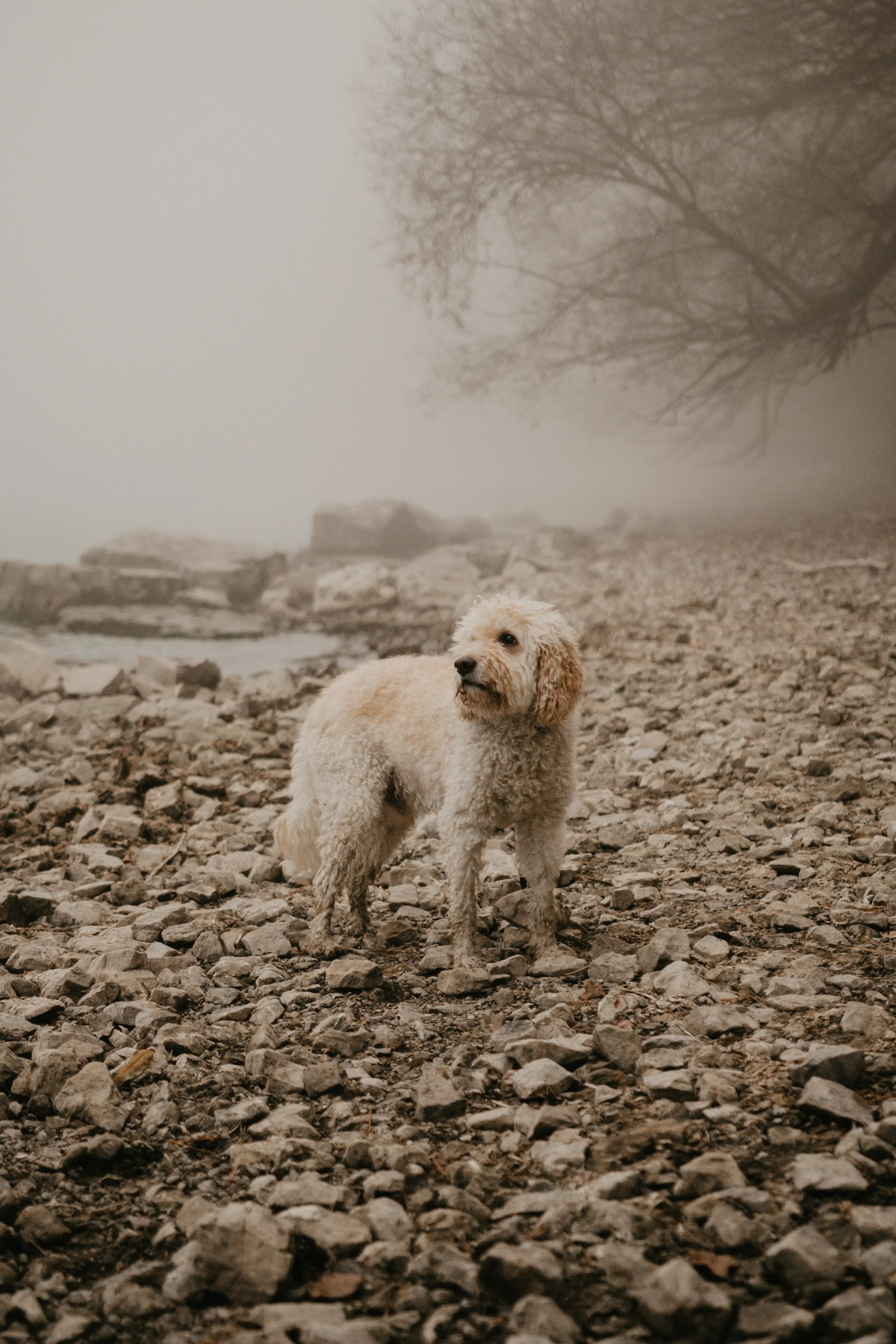 Hurley-45.JPG