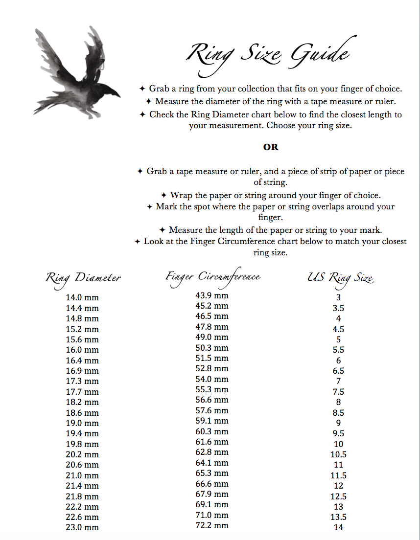 ring guide.png