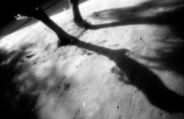Grasping God's Purpose: "Hiding in the Shadows" – Exodus 37:17-24