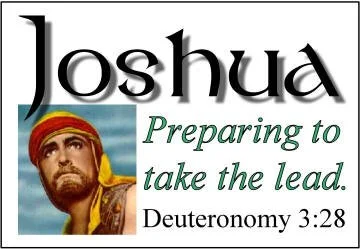 Seven Stages of Preparation to Lead – Joshua 1