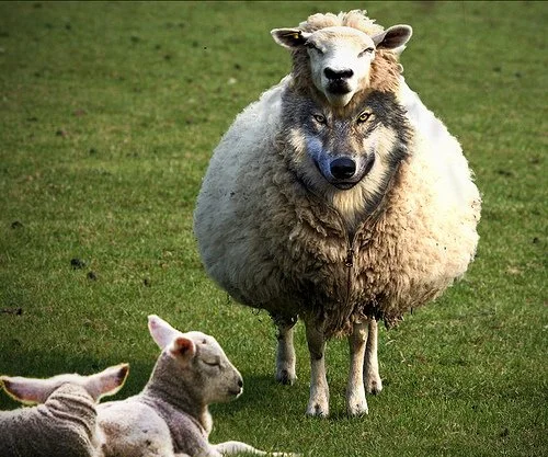 Can you spot the wolf in sheep's clothing? (Short Mark Dever Video)