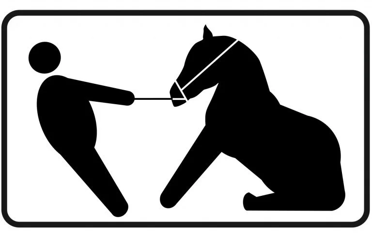 Connecting with God: “Point of Resistance” – 1 Peter 2