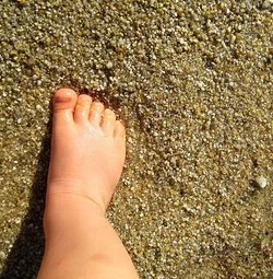 2 Samuel 5: David the King: “First Steps”