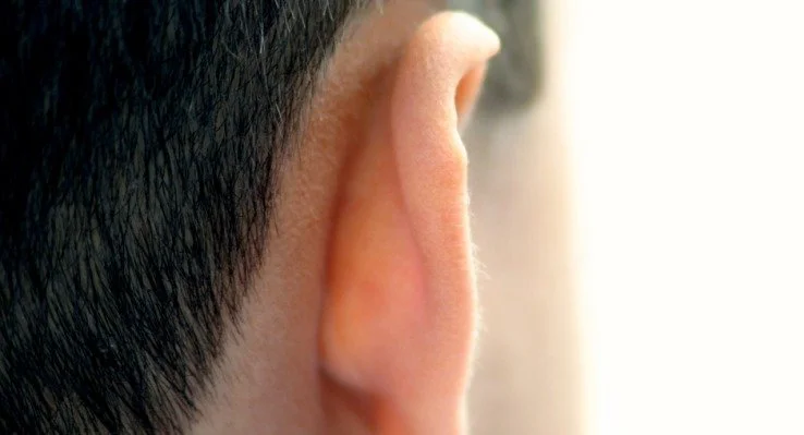 God on the Move: “The Evidence Behind the Ears” – Colossians 3