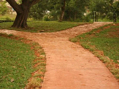 “Learning to discern the best path – Part Two” – Philippians 2