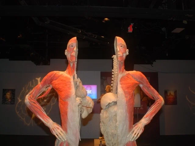 A People that Please God – “Four Bad Reasons to Divide the Body” – 1 Corinthians 1:13-31