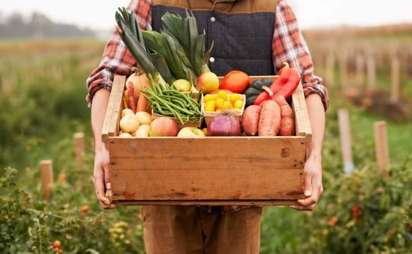 Growing Healthy Disciples: “Teaching Healthy Practices” – Romans 16