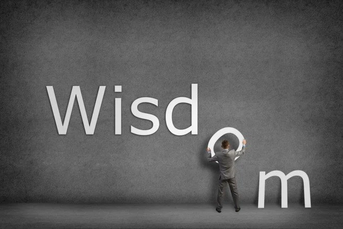 The Search is Over: “Walking in Wisdom” – Ecclesiastes 7:9-29