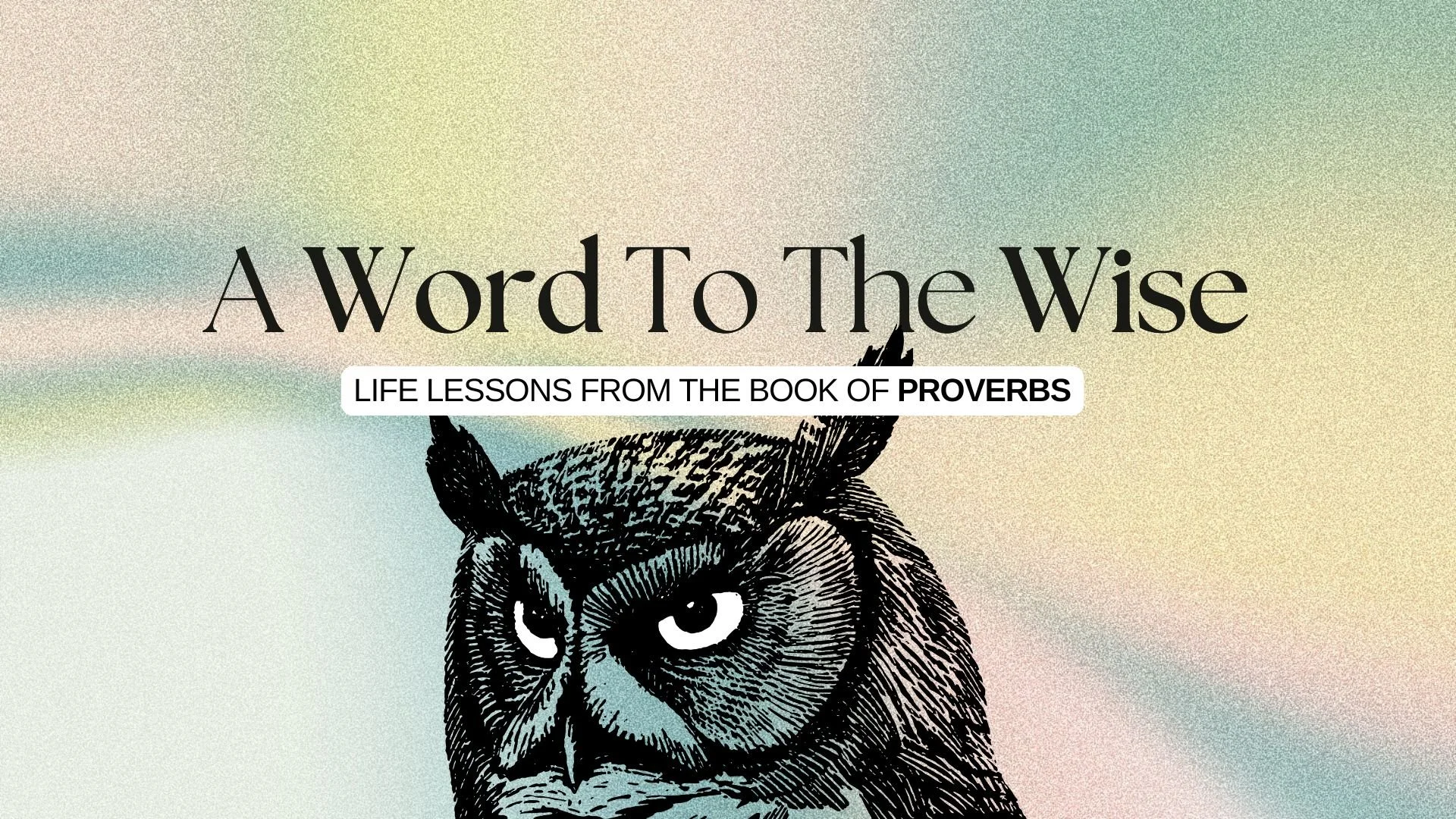 A Word to the Wise- The Words We Say