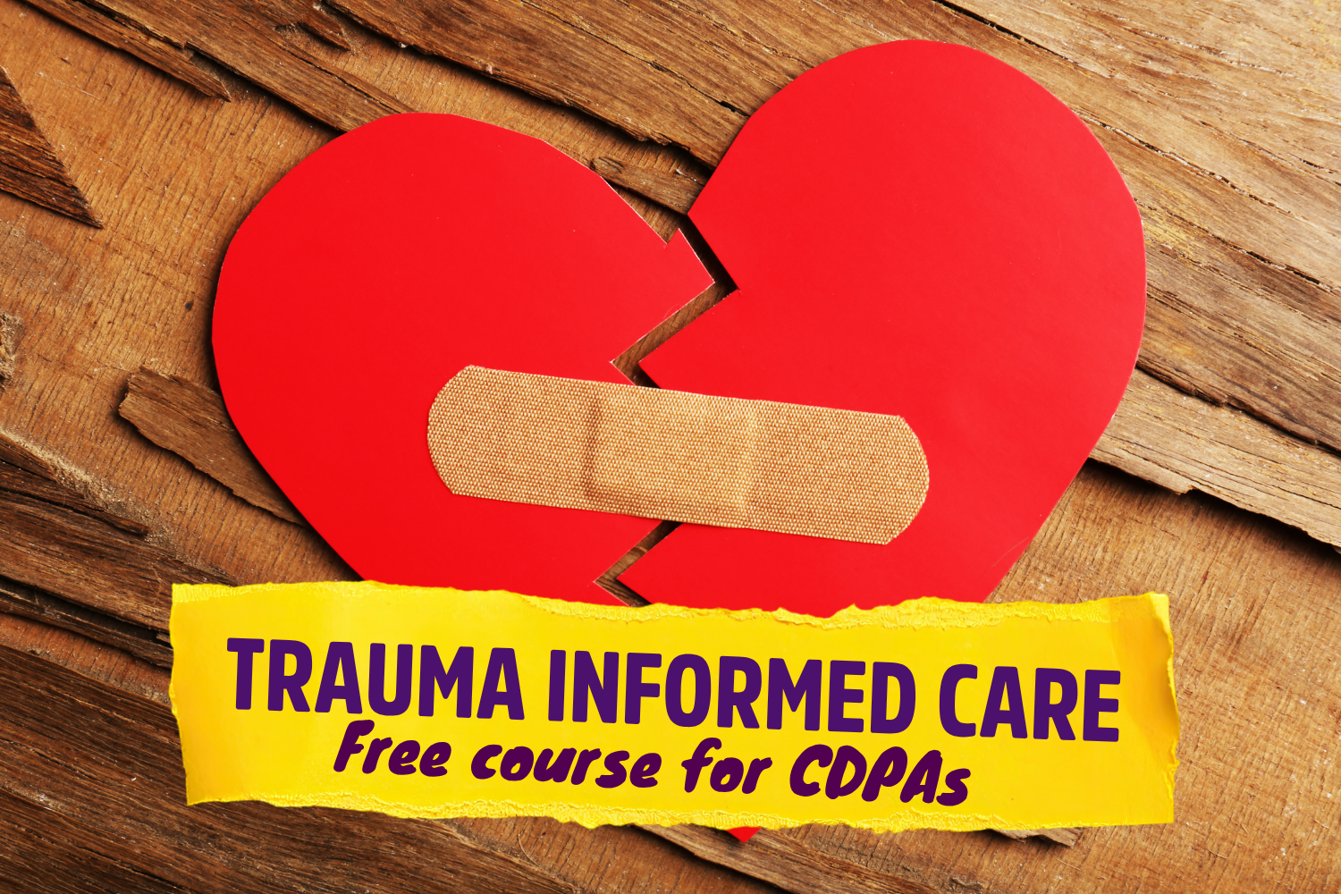 Trauma Informed Care (English, Virtual)