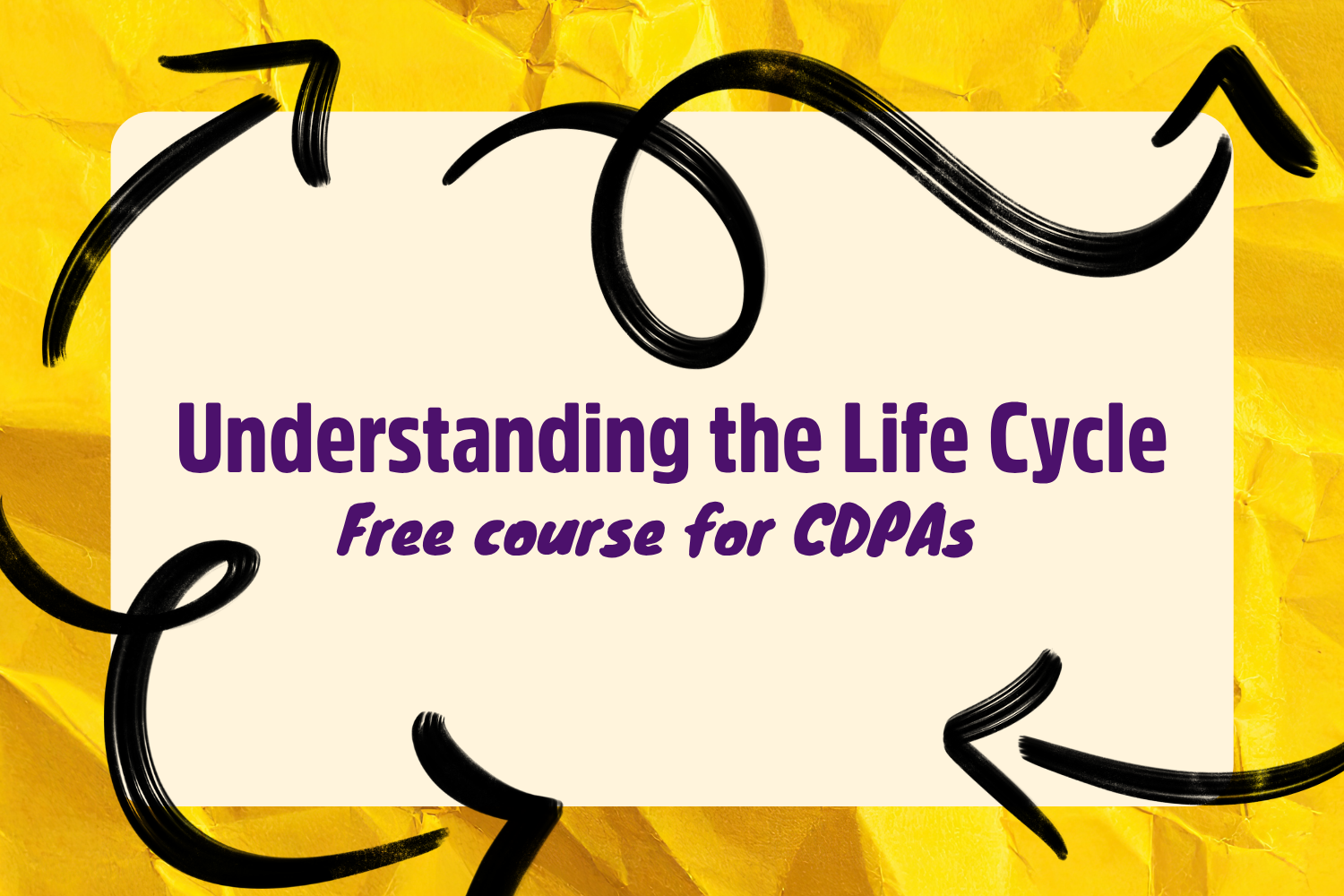 Understanding the Life Cycle (English, Virtual)