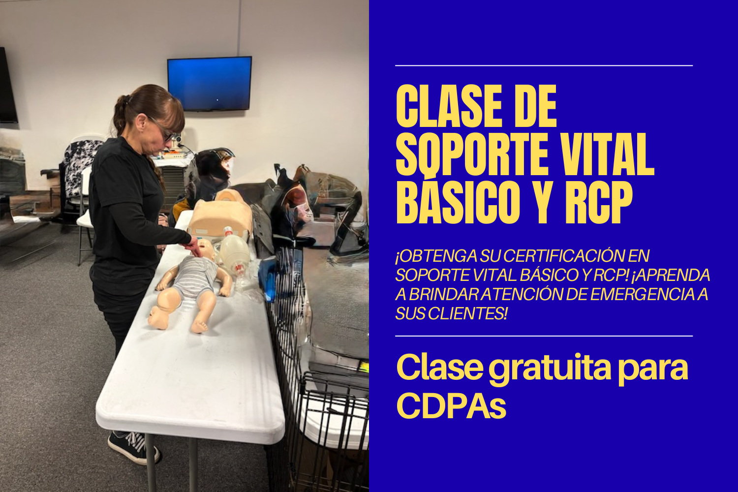 Clase de soporte vital básico y RCP (Español, Midtown NYC)