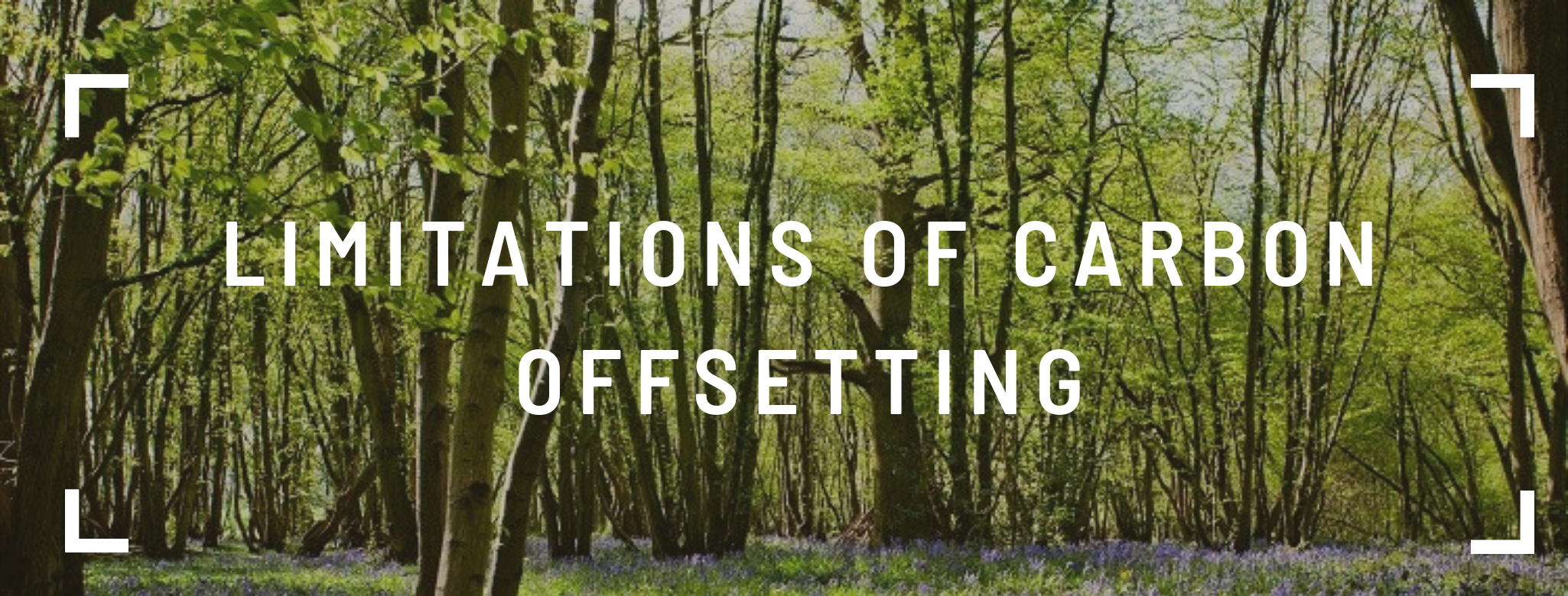 Limitations of Carbon Offsetting
