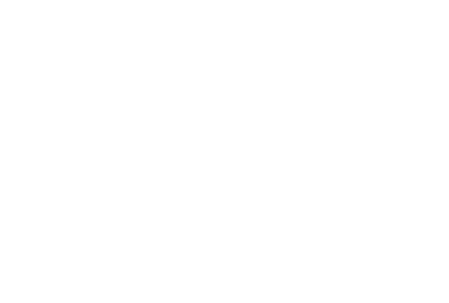 BlueDog Rentals 