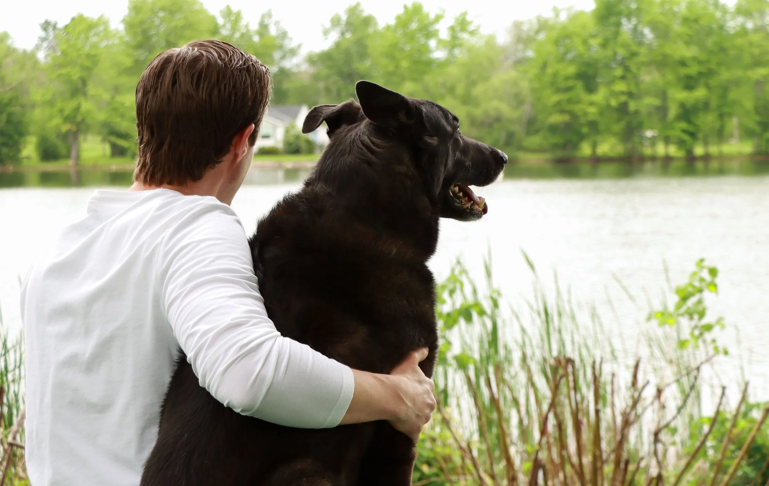 5 Tips For Planning Your Family Photography Session With Your Dog! 