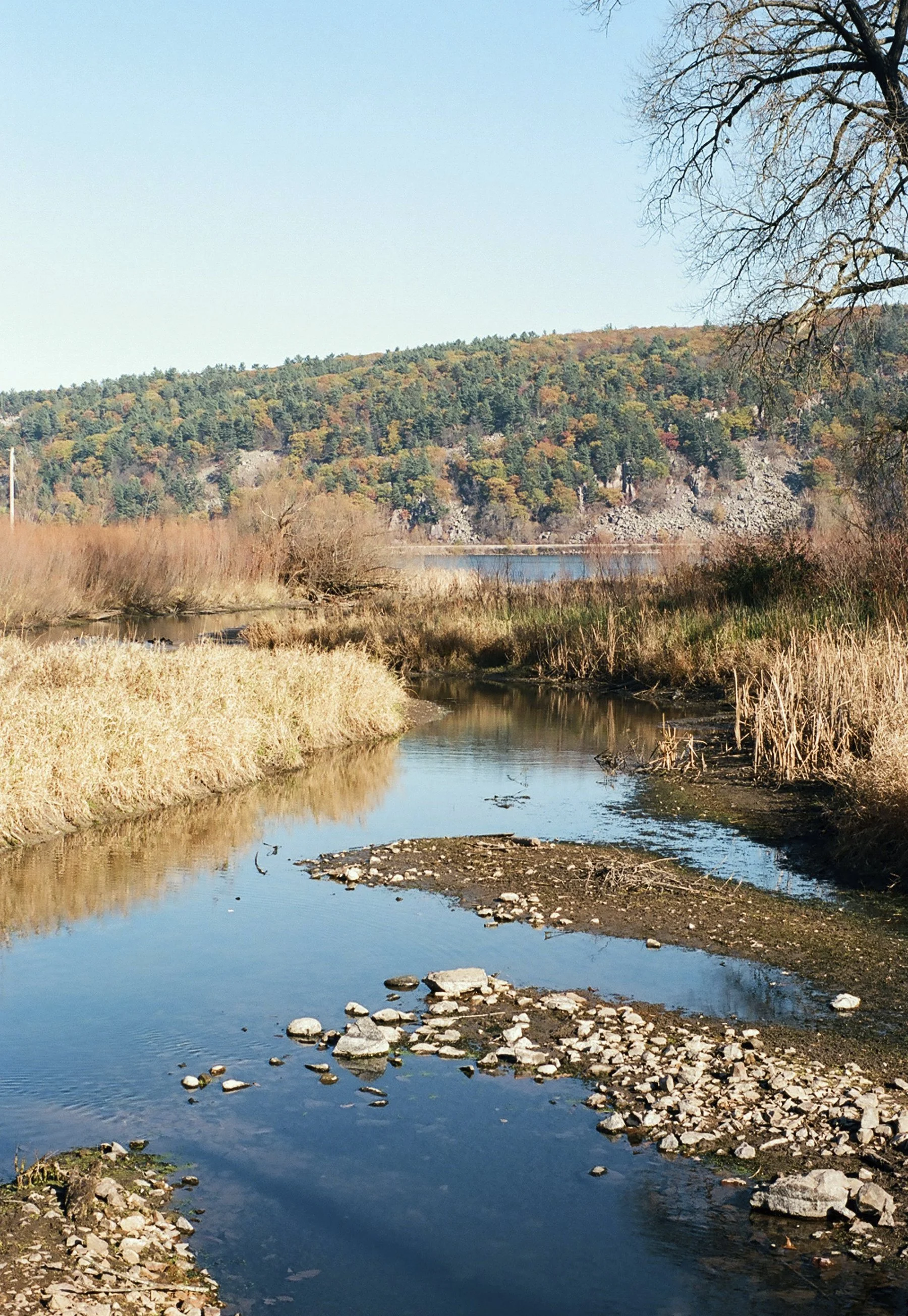 177-028.jpg