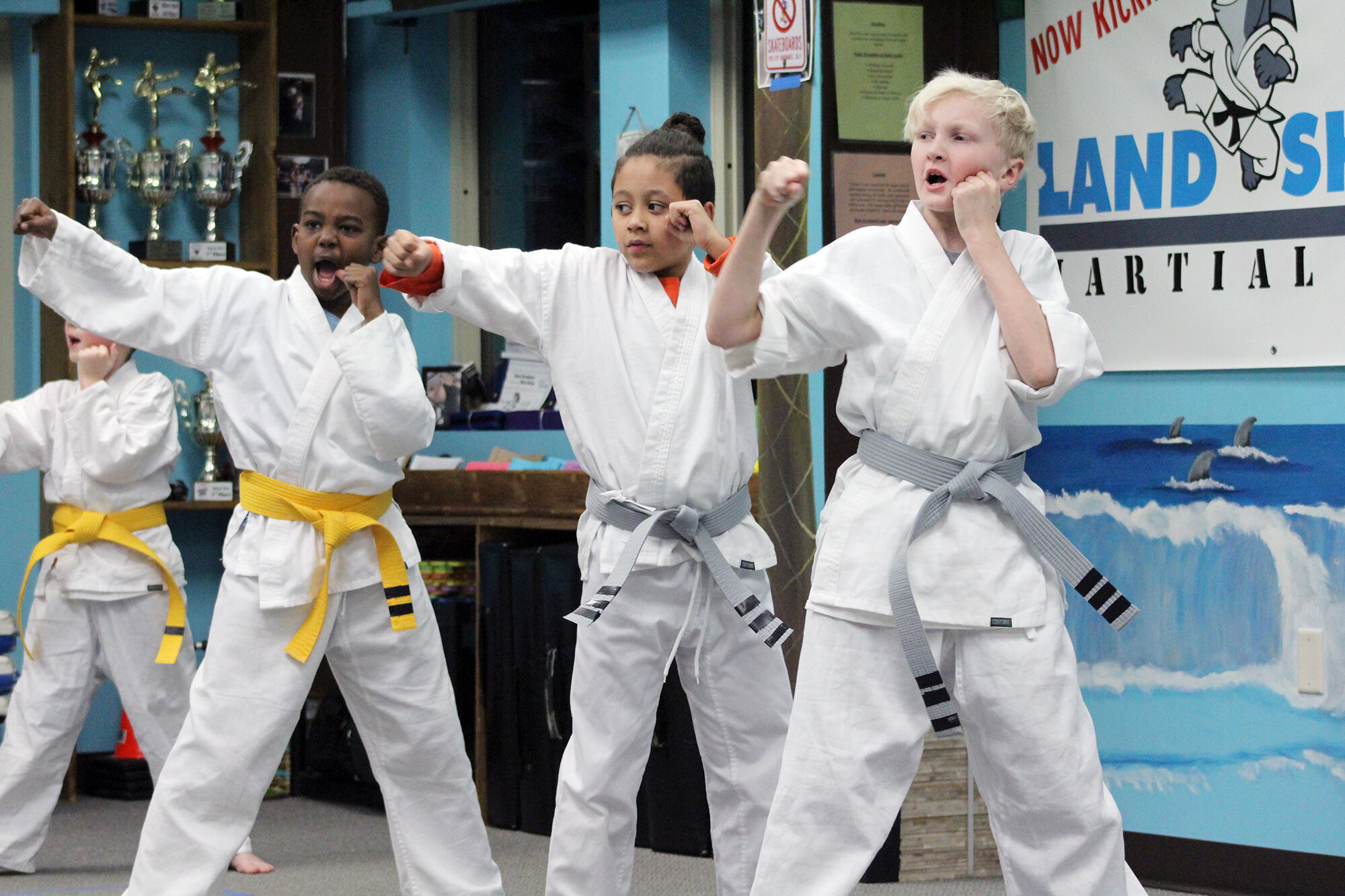 Land Shark Youth - Punch.JPG