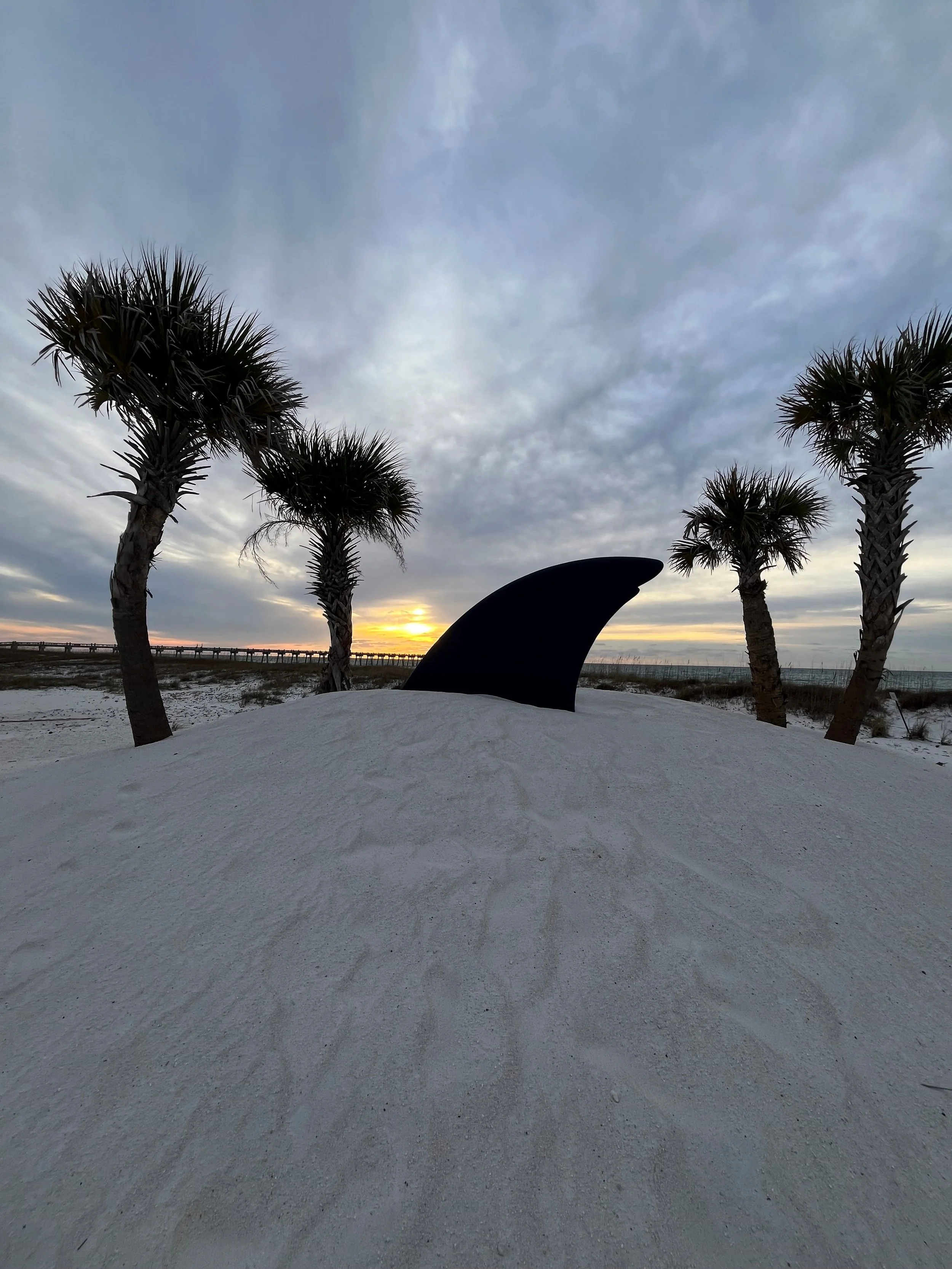 shark in sand.jpg