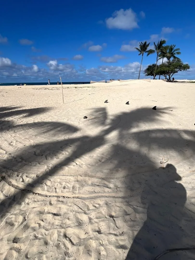 kailua beach spot.JPG