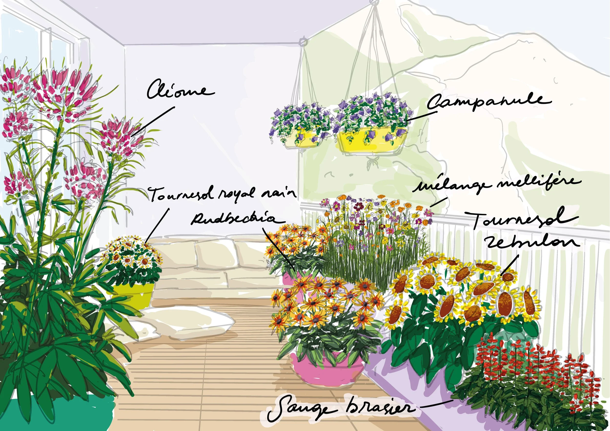 balcon biodiversité.jpg